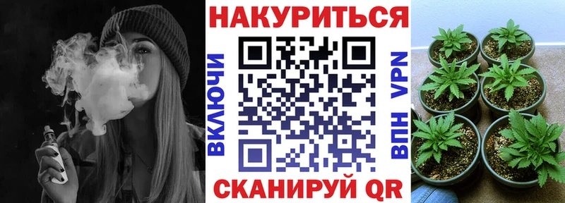 купить наркотик  Северо-Курильск  Канабис конопля 